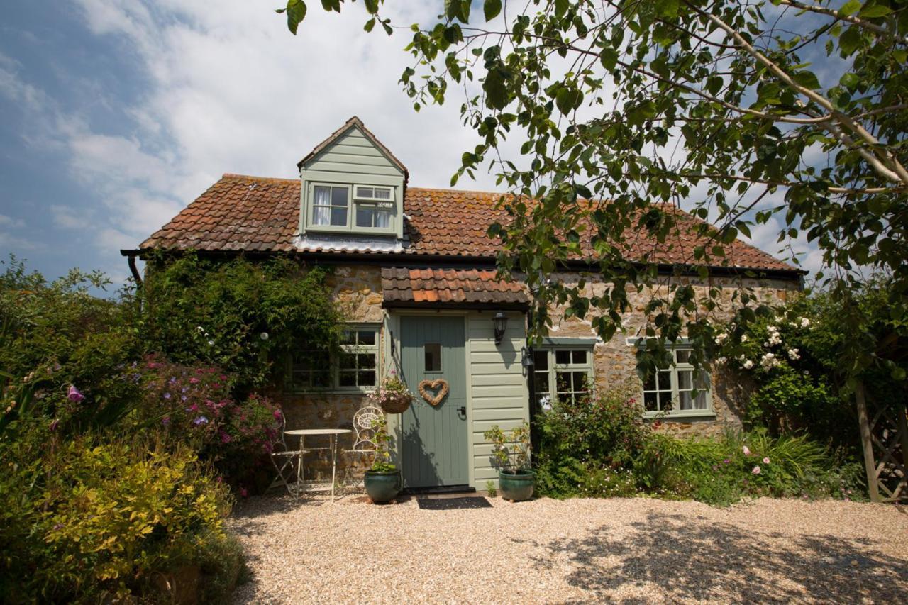 Chiddy Nook Cottage Chideock エクステリア 写真